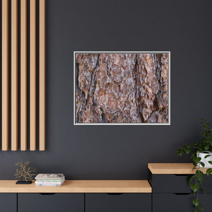 Woody Layers - Unique Stretched Canvas Wall Art - Art By Earth