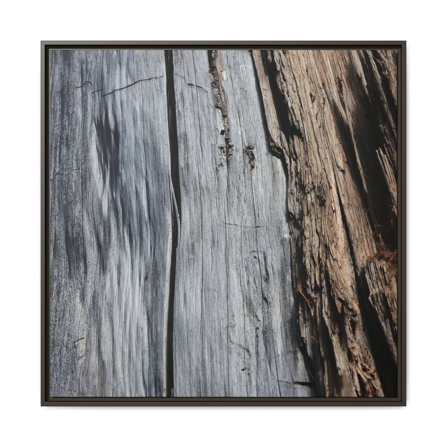 Wood's Lament - Unique Stretched Canvas Wall Art - Art By Earth