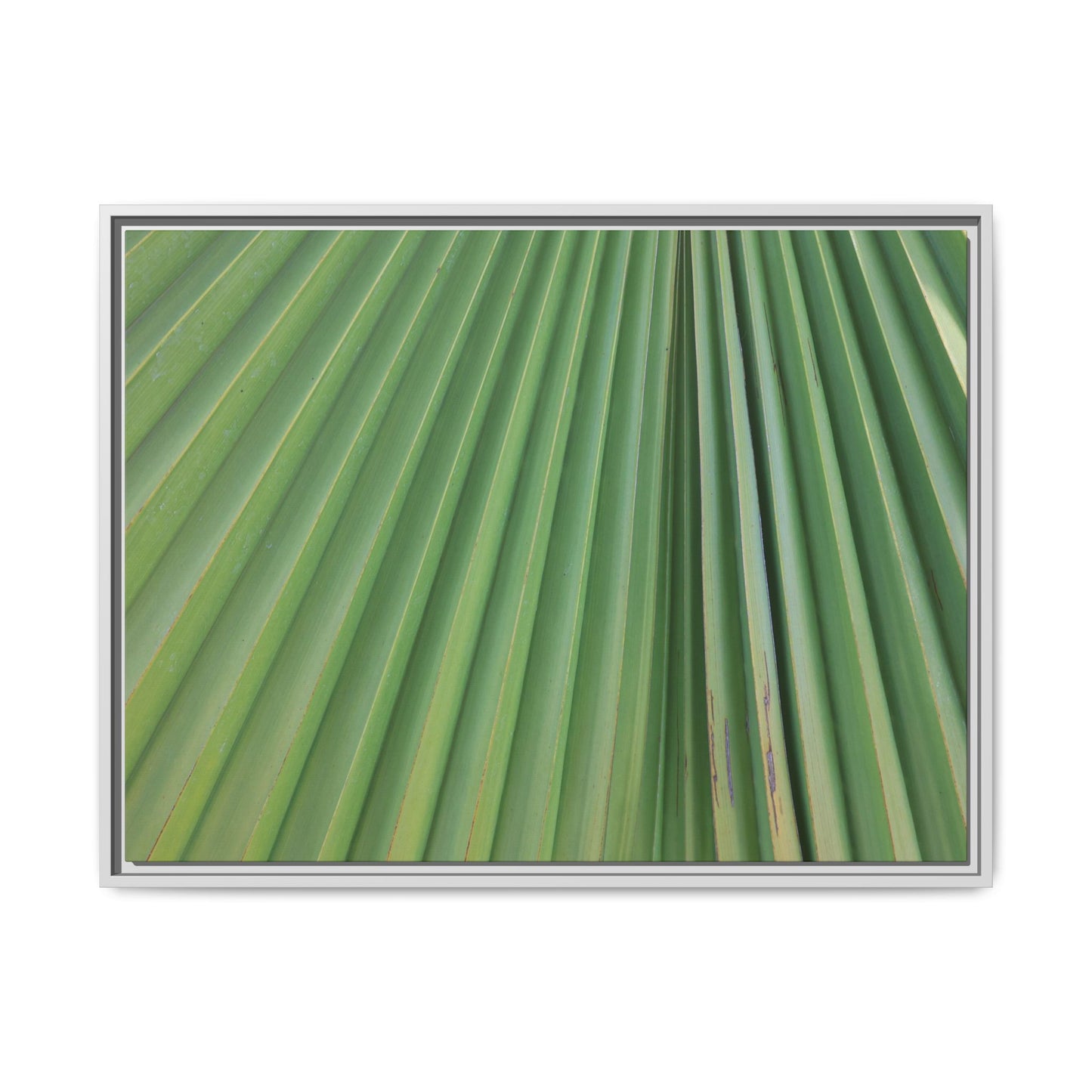 Emerald Rays - Unique Stretched Canvas Wall Art - Art By Earth