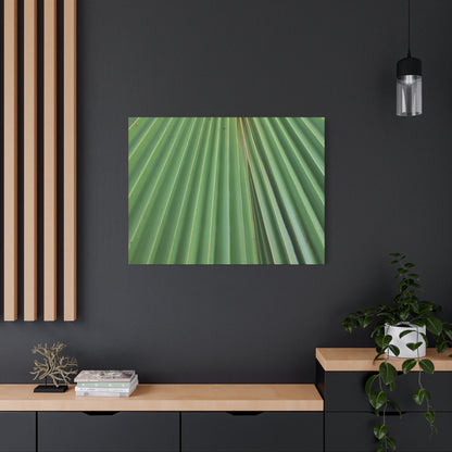 Fan of Green - Unique Frameless Canvas Wall Art - Art By Earth