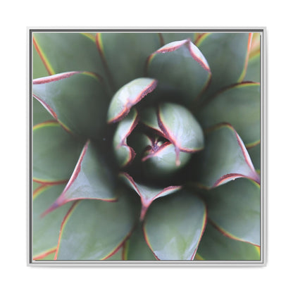 Spiky Elegance - Unique Stretched Canvas Wall Art - Art By Earth
