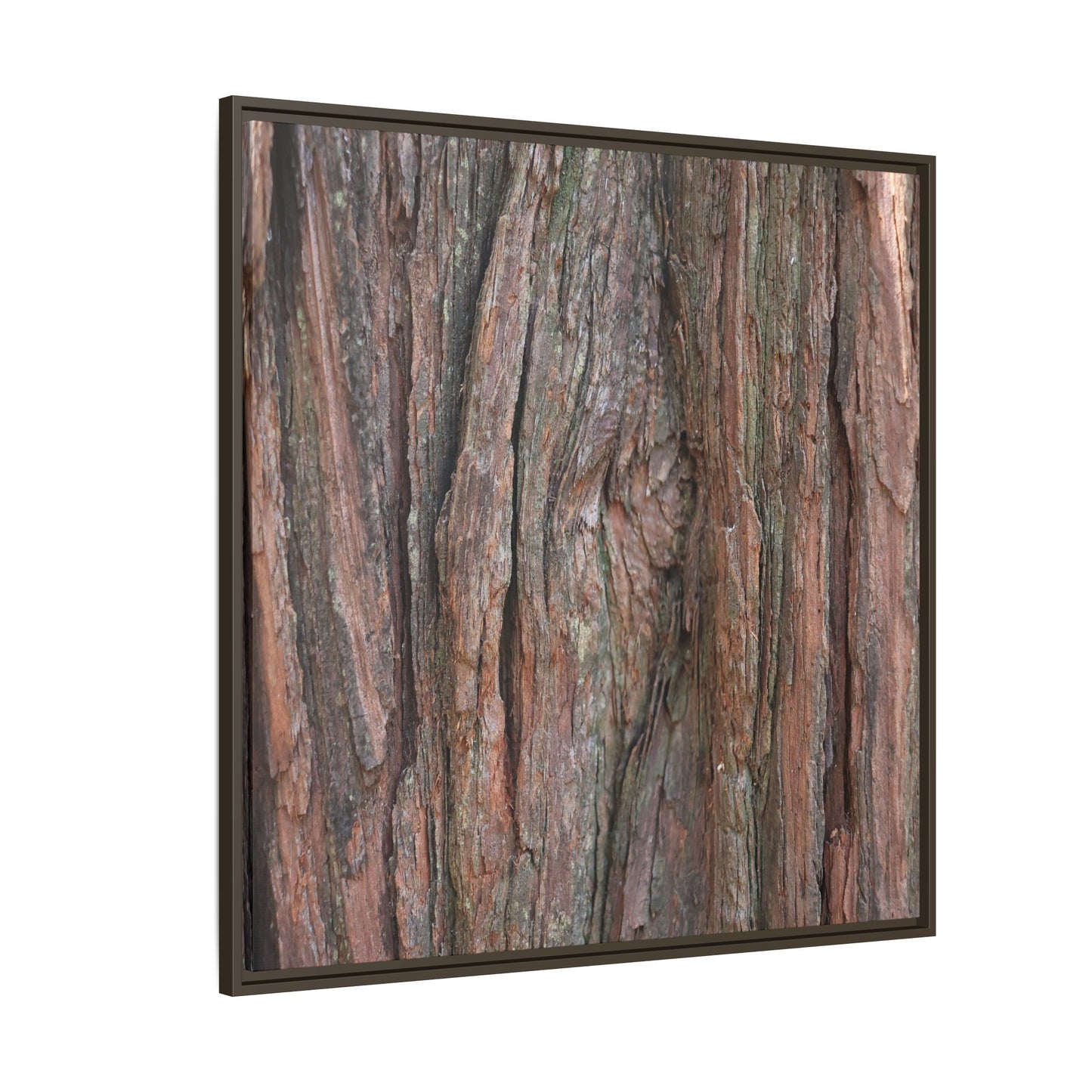 Rugged Textures - Unique Stretched Canvas Wall Art - Art By Earth