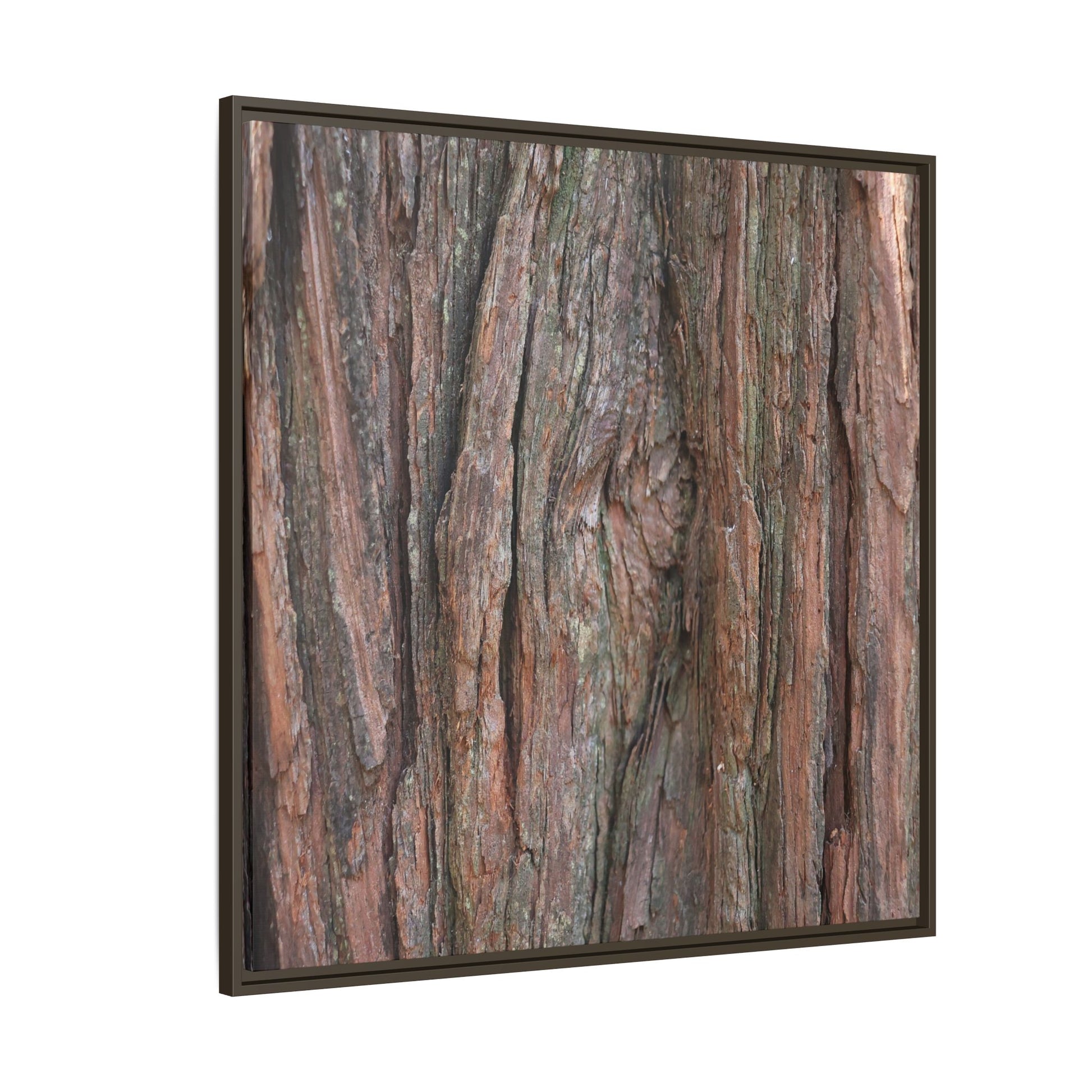 Rugged Textures - Unique Stretched Canvas Wall Art - Art By Earth