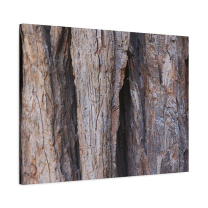 Fractal Skin - Unique Frameless Canvas Wall Art - Art By Earth