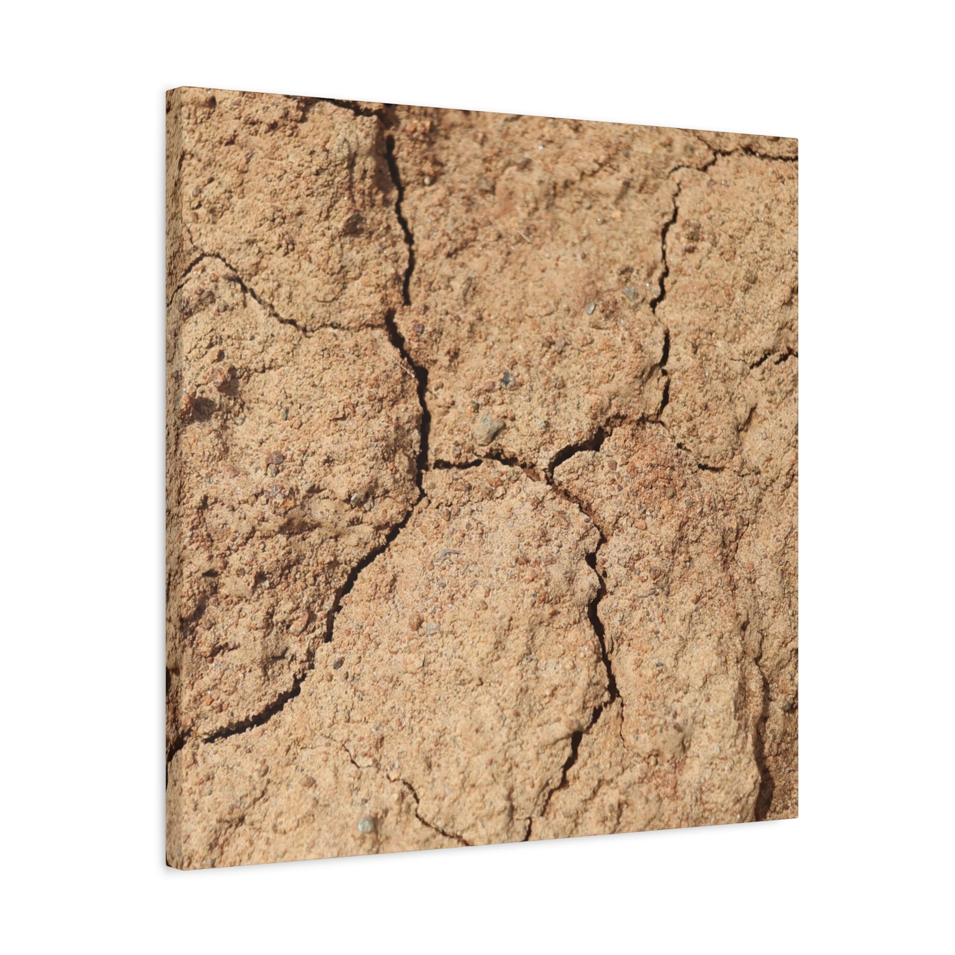 Cracked Earth's Lament - Unique Frameless Canvas Wall Art - Art By Earth