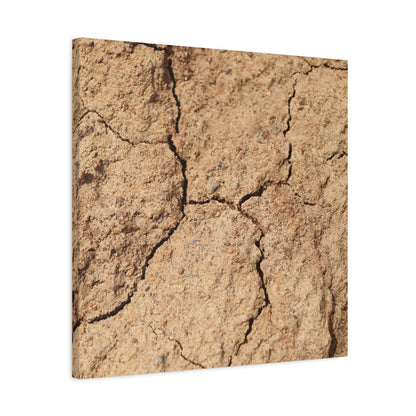 Cracked Earth's Lament - Unique Frameless Canvas Wall Art - Art By Earth
