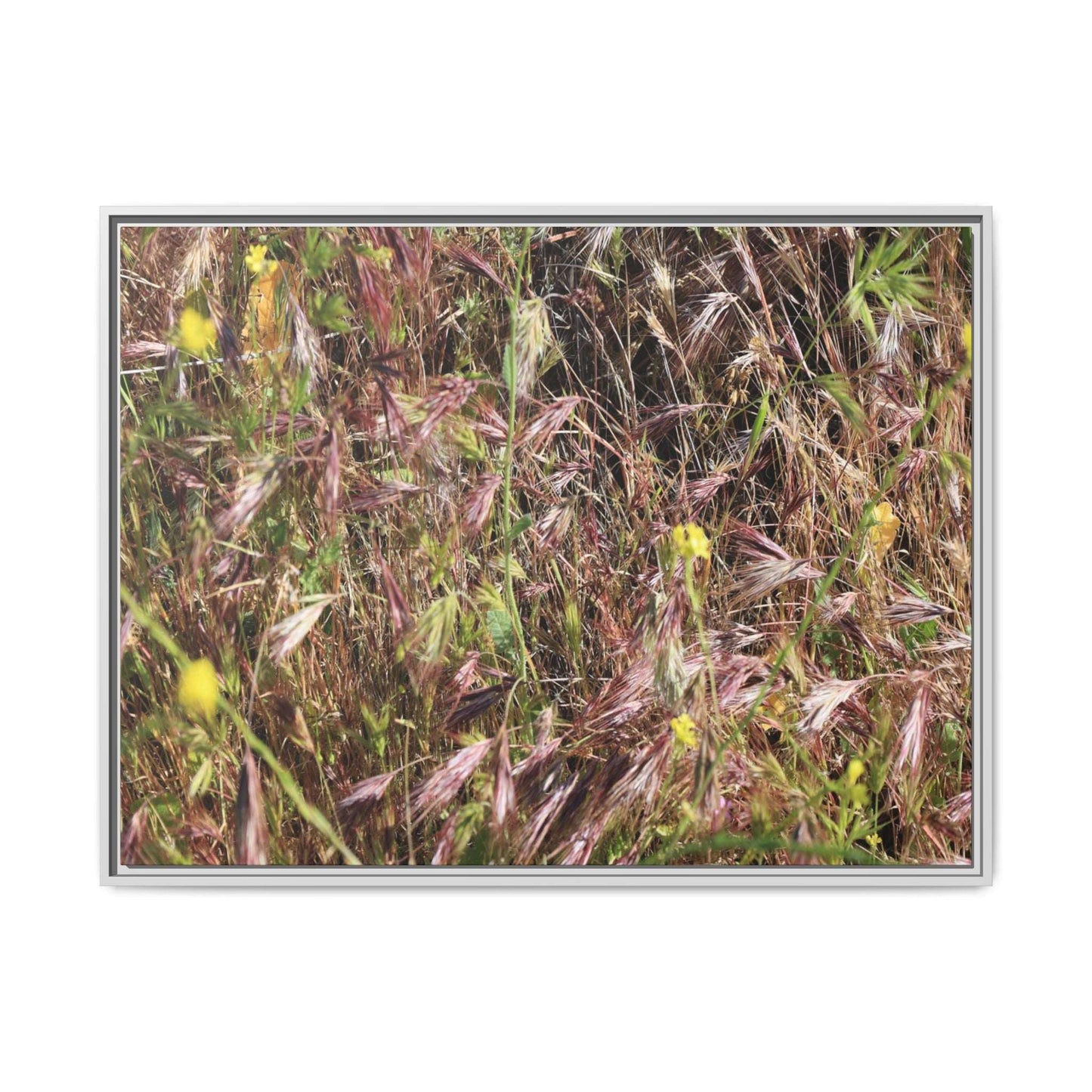 Autumn Meadow - Unique Stretched Canvas Wall Art - Art By Earth