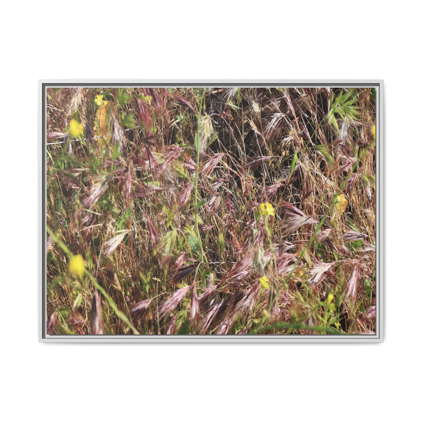 Autumn Meadow - Unique Stretched Canvas Wall Art - Art By Earth
