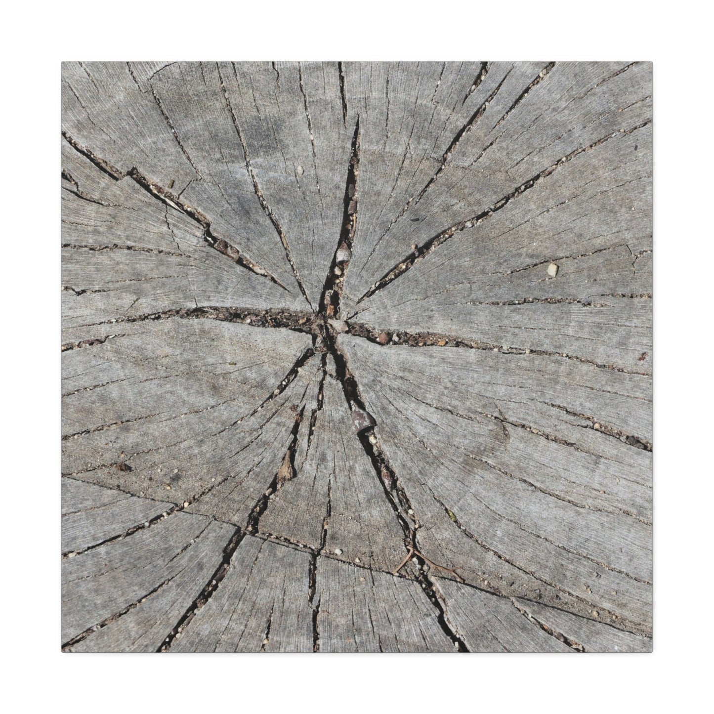 Cracked Chronicle - Unique Frameless Canvas Wall Art - Art By Earth