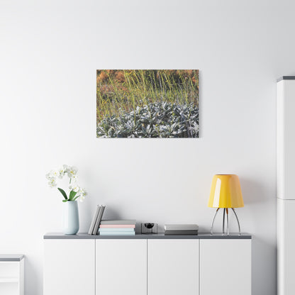 Desert Wildflowers in Bloom - Unique Frameless Canvas Wall Art - Art By Earth