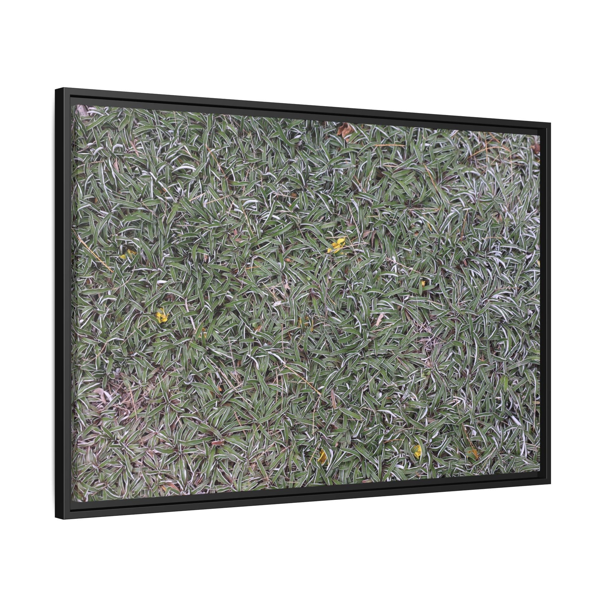 Grassy Texture - Unique Stretched Canvas Wall Art - Art By Earth