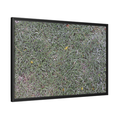 Grassy Texture - Unique Stretched Canvas Wall Art - Art By Earth