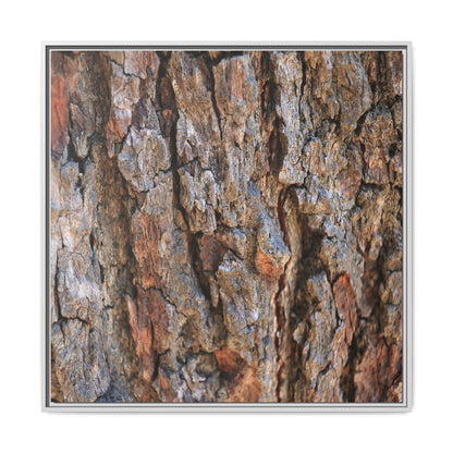 Craggy Textures - Unique Stretched Canvas Wall Art - Art By Earth