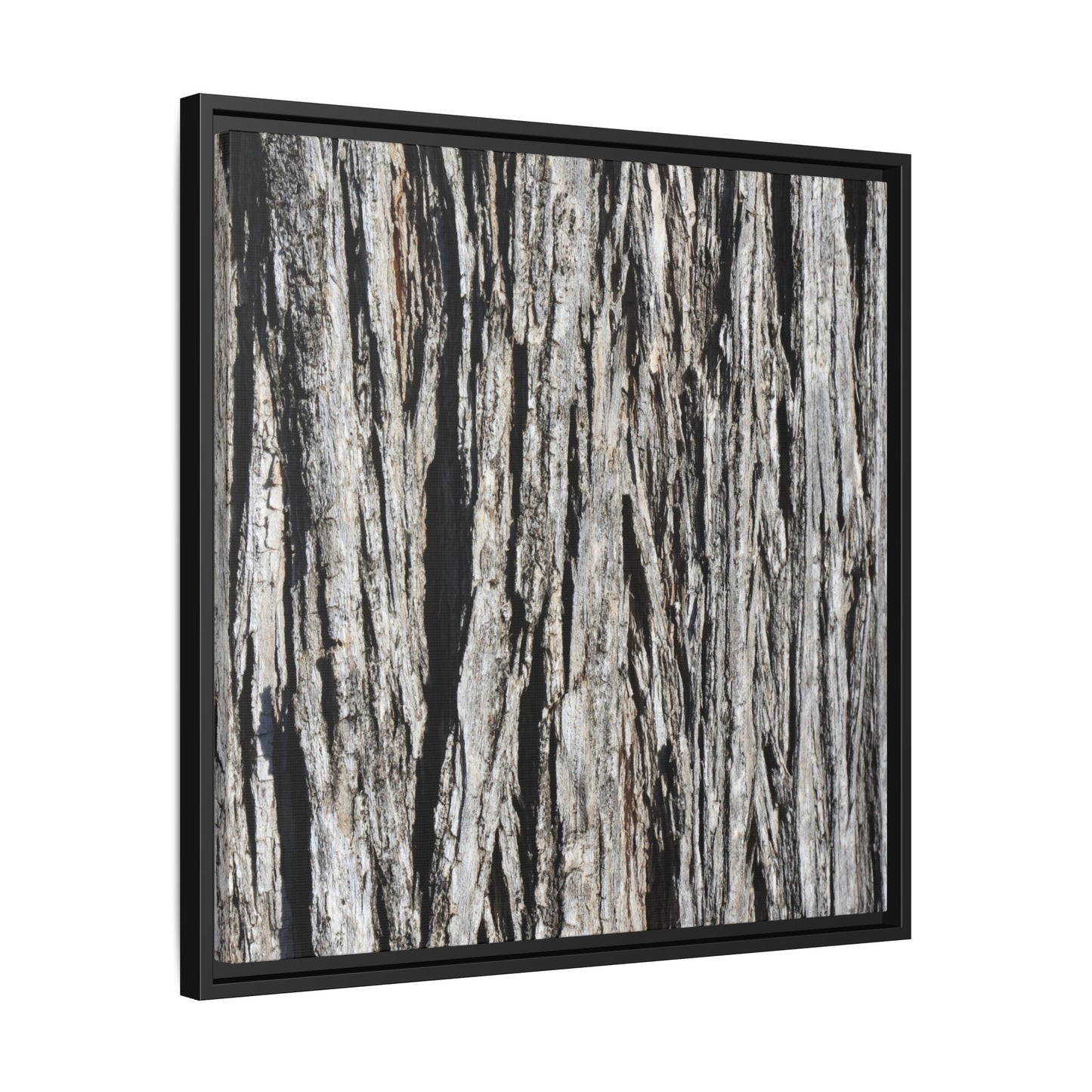Nature's Abstract - Unique Stretched Canvas Wall Art - Art By Earth