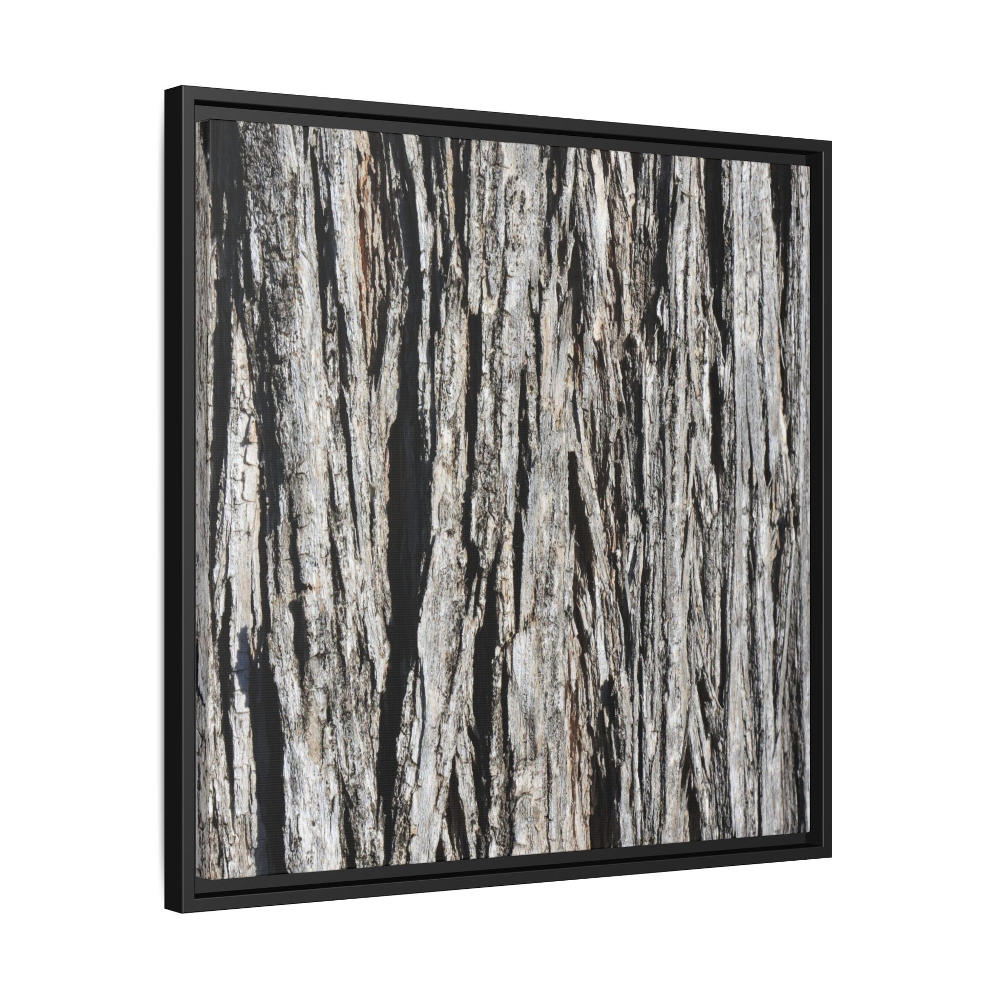 Nature's Abstract - Unique Stretched Canvas Wall Art - Art By Earth