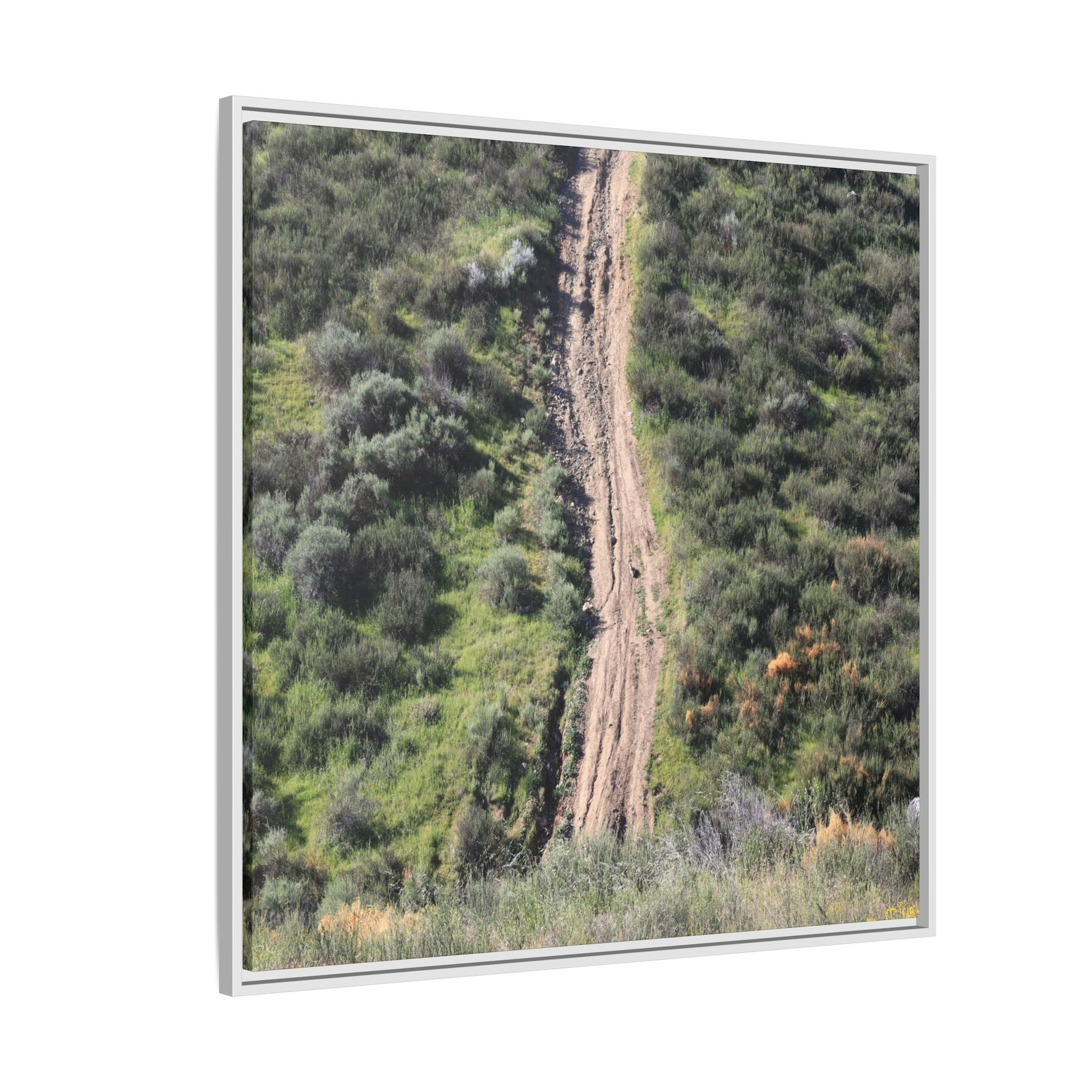 Desert Path Through Sage - Unique Stretched Canvas Wall Art - Art By Earth