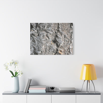 Elemental Canvas - Unique Frameless Canvas Wall Art - Art By Earth