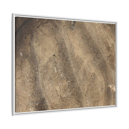 Tidal Pool Secrets - Unique Stretched Canvas Wall Art - Art By Earth