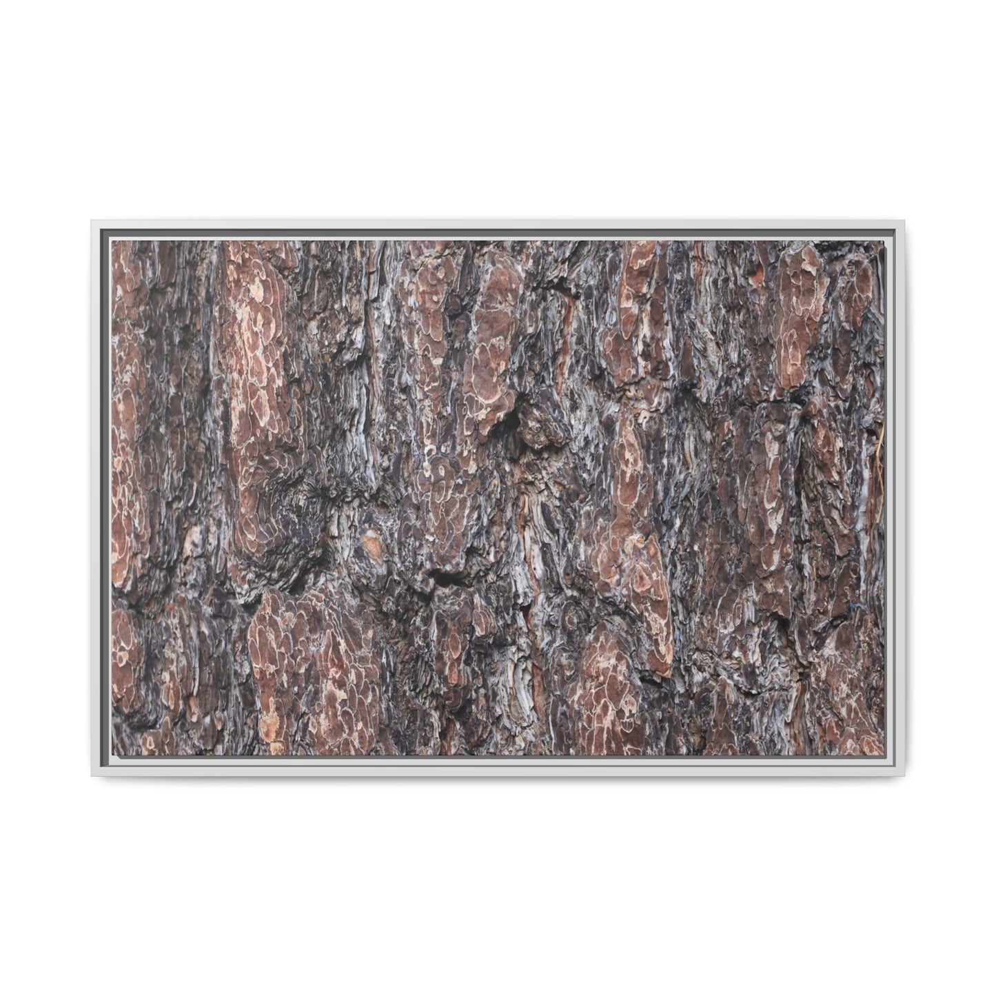 Echoes of Wood - Unique Stretched Canvas Wall Art