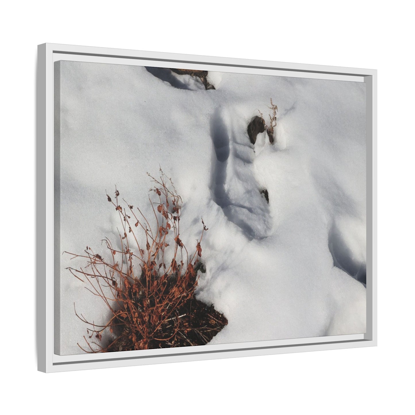 Frostbound Whispers - Unique Stretched Canvas Wall Art