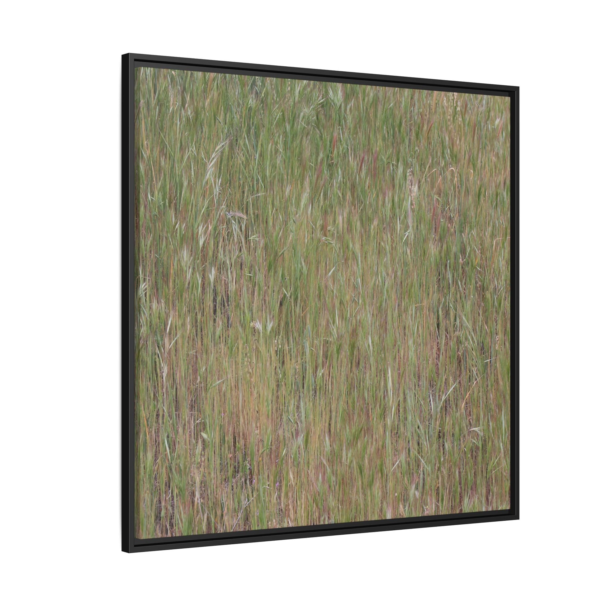 Field of Dreams - Unique Stretched Canvas Wall Art - Art By Earth