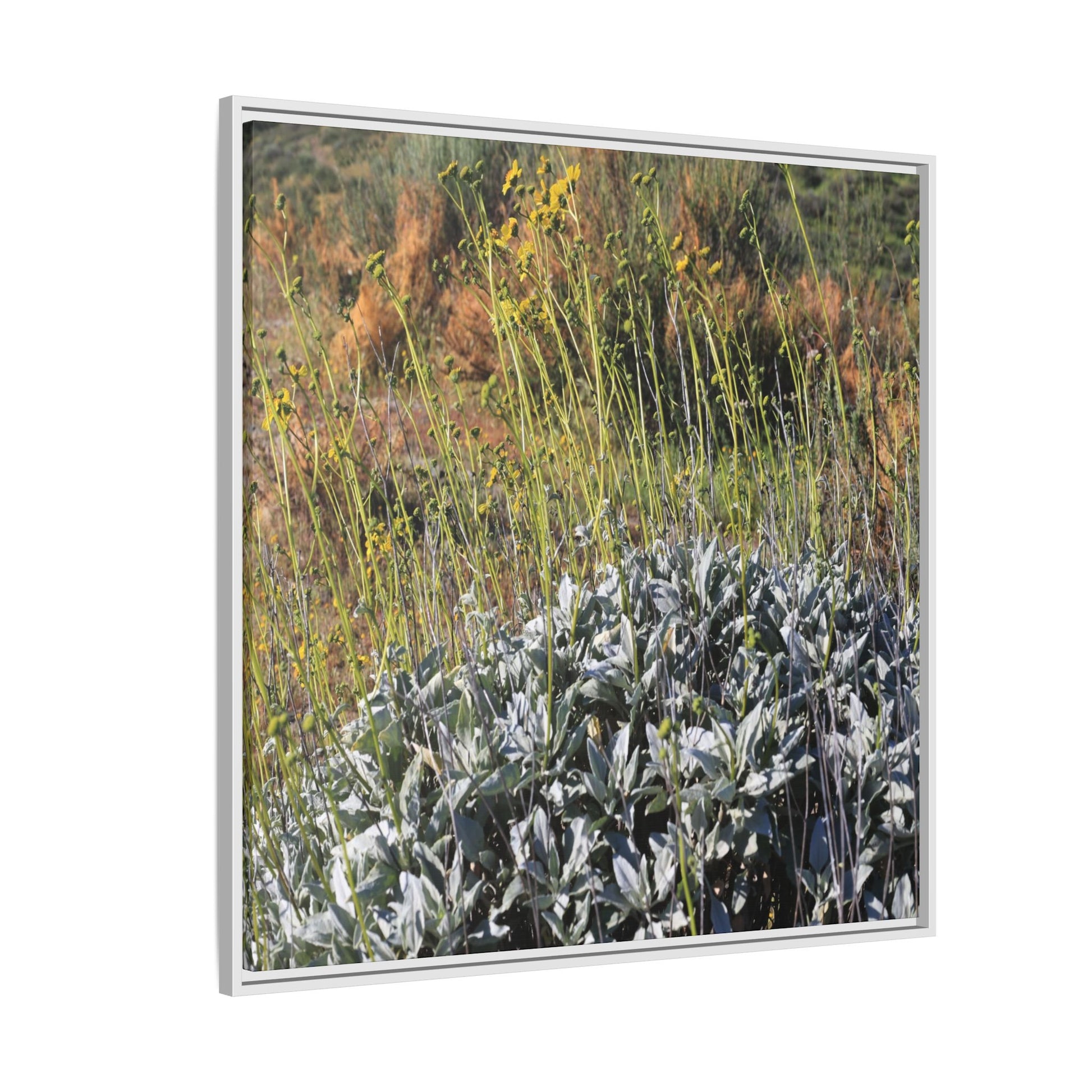 Arid Landscape with Yellow Flowers - Unique Stretched Canvas Wall Art - Art By Earth
