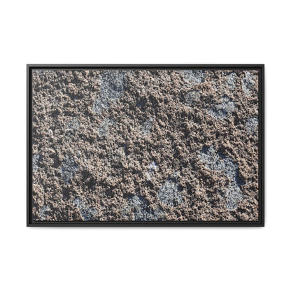 Textured Ground - Unique Stretched Canvas Wall Art
