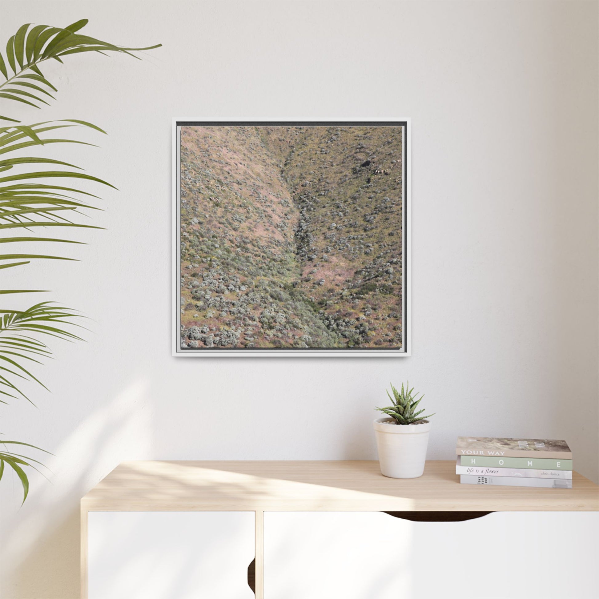 Mountain Slope with Desert Vegetation - Unique Stretched Canvas Wall Art - Art By Earth
