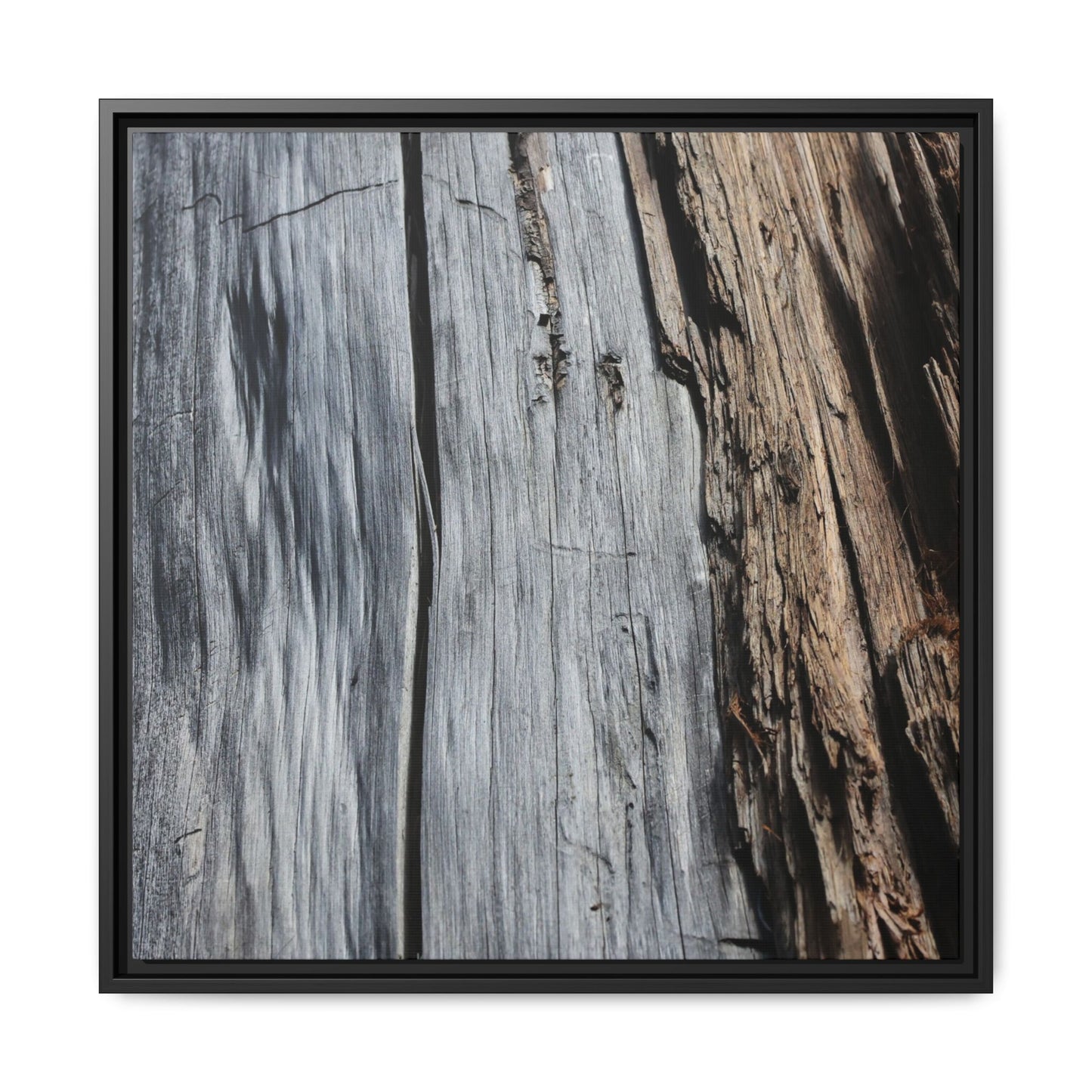 Wood's Lament - Unique Stretched Canvas Wall Art - Art By Earth