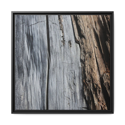 Wood's Lament - Unique Stretched Canvas Wall Art - Art By Earth