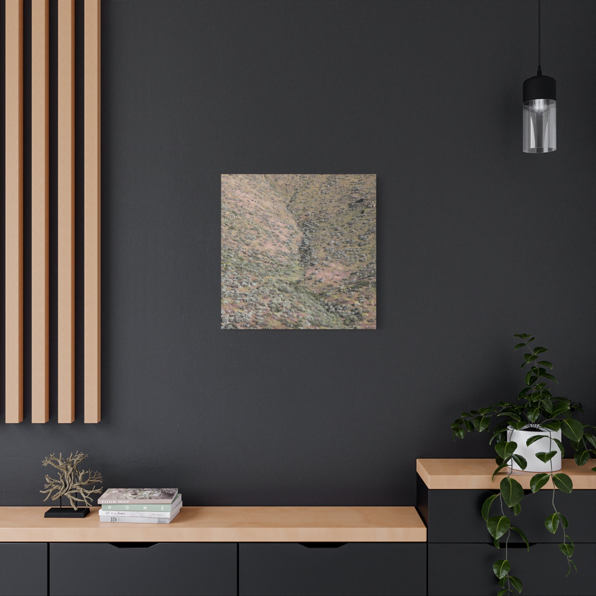 Desert Hillside - Unique Frameless Canvas Wall Art - Art By Earth