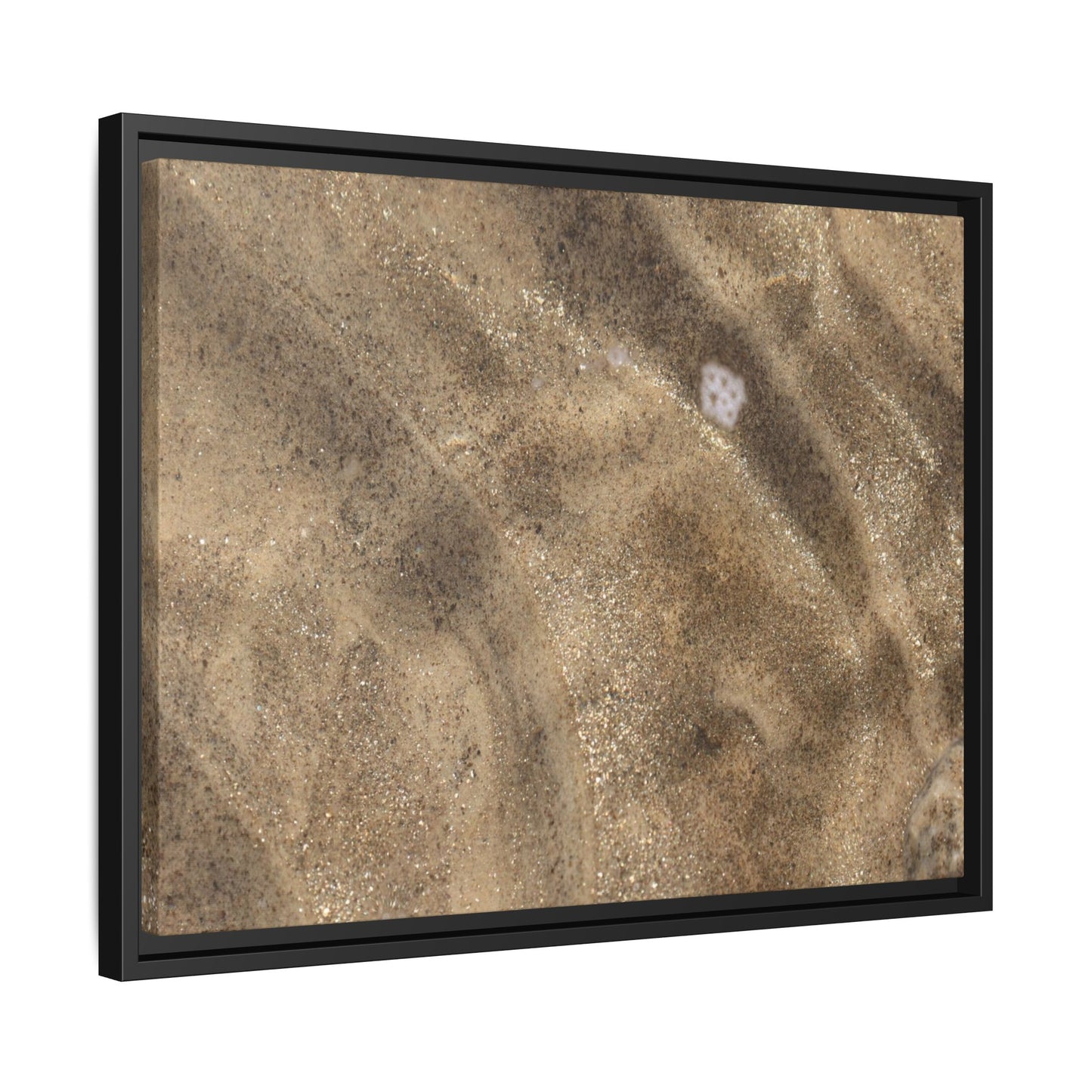 Underwater Sand Exploration - Unique Stretched Canvas Wall Art - Art By Earth