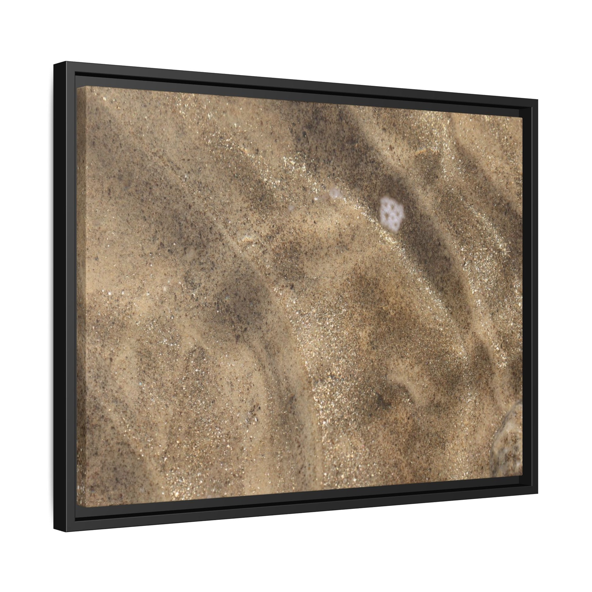 Underwater Sand Exploration - Unique Stretched Canvas Wall Art - Art By Earth