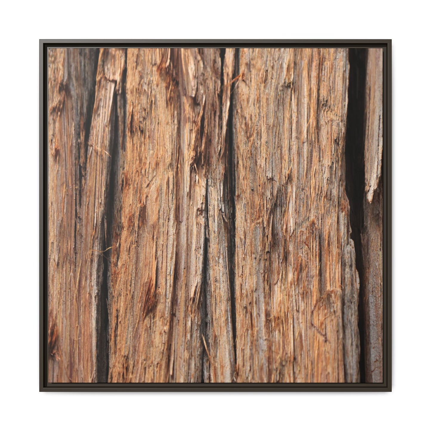 Timber Echoes - Unique Stretched Canvas Wall Art - Art By Earth