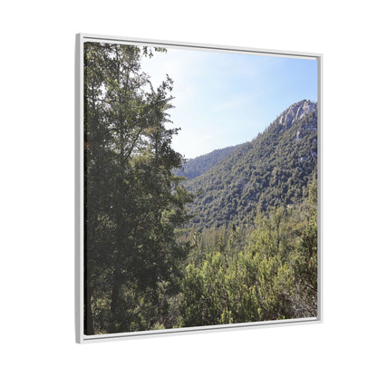 Mountain Valley Forest - Unique Stretched Canvas Wall Art