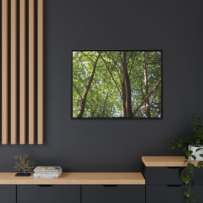 Forest Branches - Unique Stretched Canvas Wall Art
