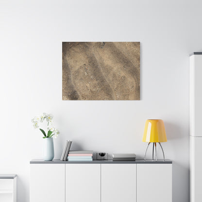 Shallow Waters - Unique Frameless Canvas Wall Art - Art By Earth