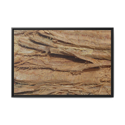 Splintered Bark - Unique Stretched Canvas Wall Art - Art By Earth