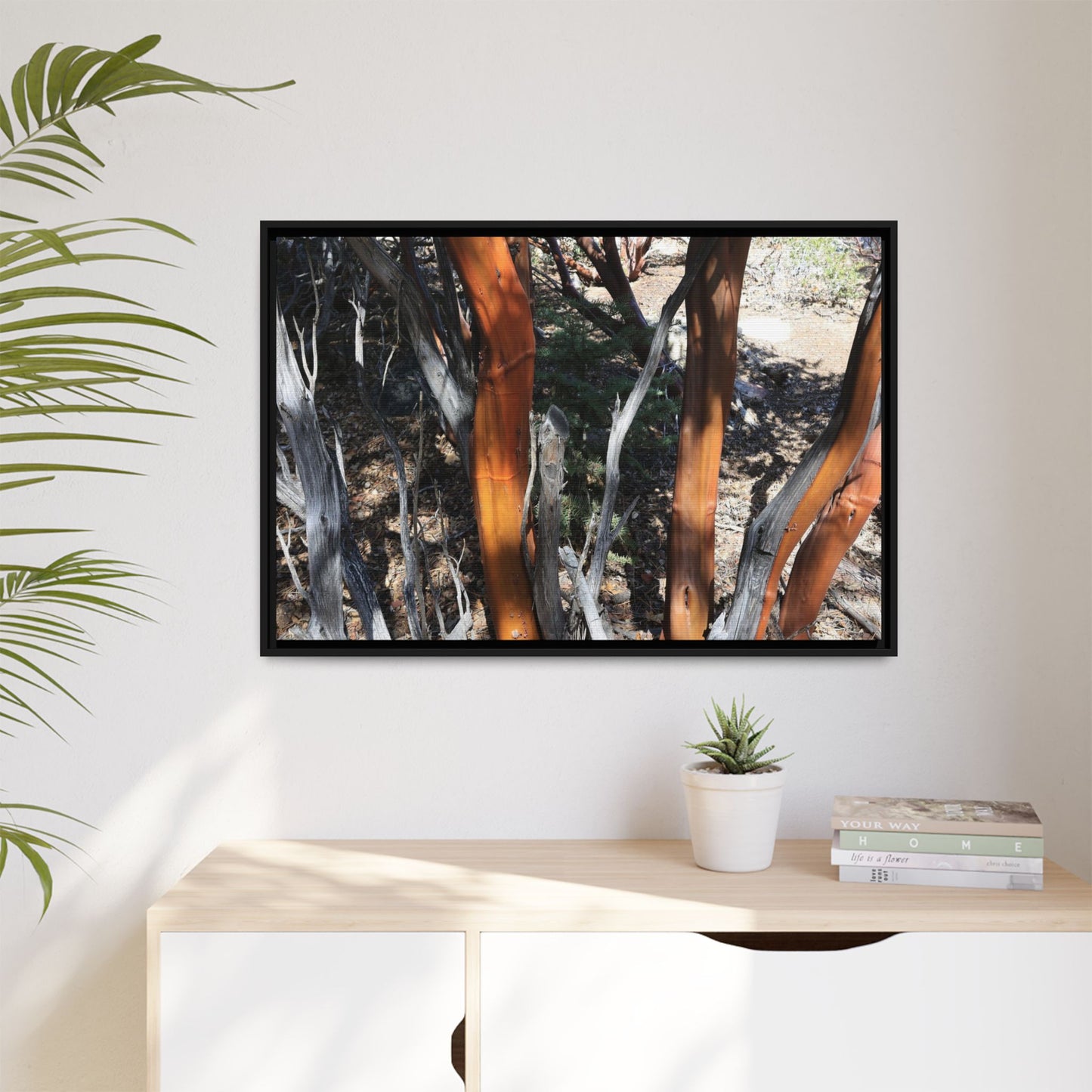 Eucalyptus Grove - Unique Stretched Canvas Wall Art
