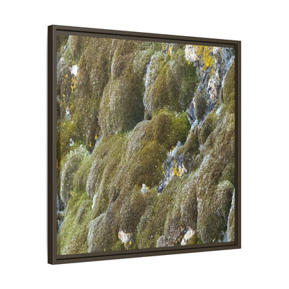 Moss Symphony - Unique Stretched Canvas Wall Art