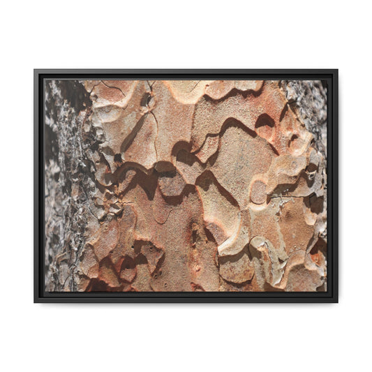 Rust and Stone - Unique Stretched Canvas Wall Art - Art By Earth