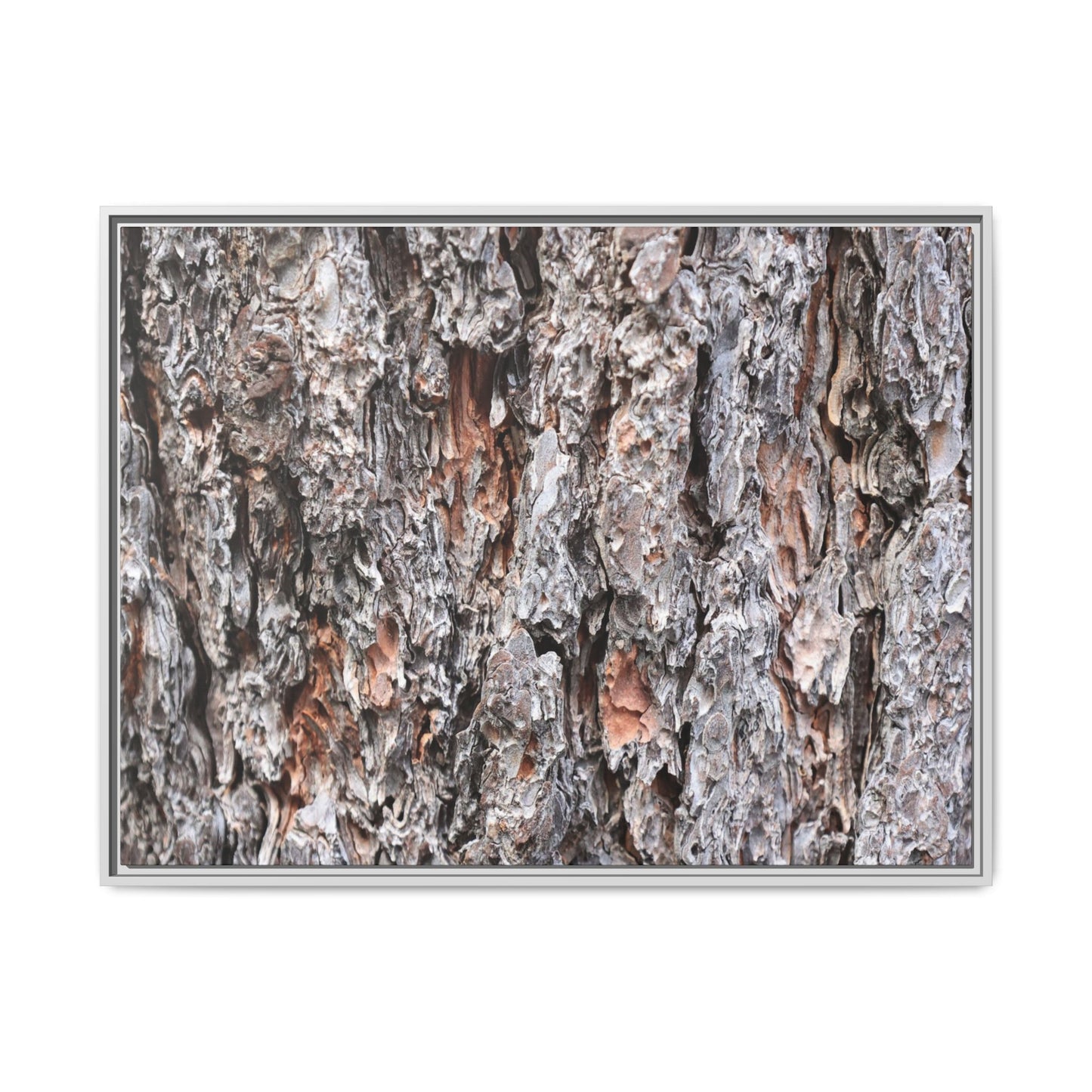 Rugged Cortex - Unique Stretched Canvas Wall Art - Art By Earth