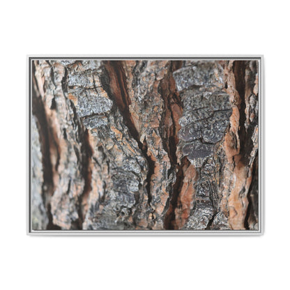 Fractured Nature - Unique Stretched Canvas Wall Art - Art By Earth