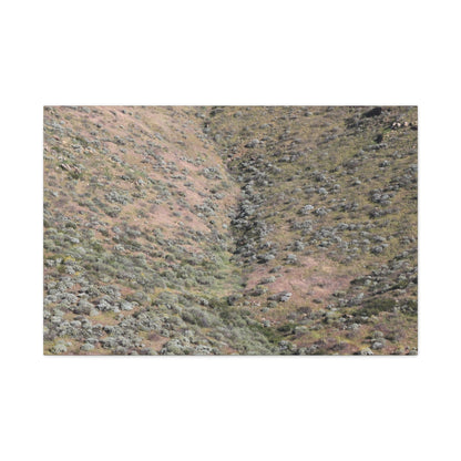 Desert Hillside - Unique Frameless Canvas Wall Art - Art By Earth
