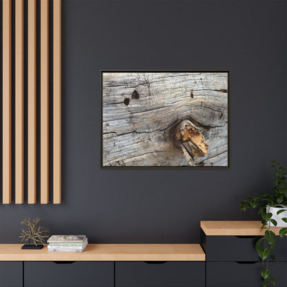 Weathered Wood Texture - Unique Stretched Canvas Wall Art - Art By Earth