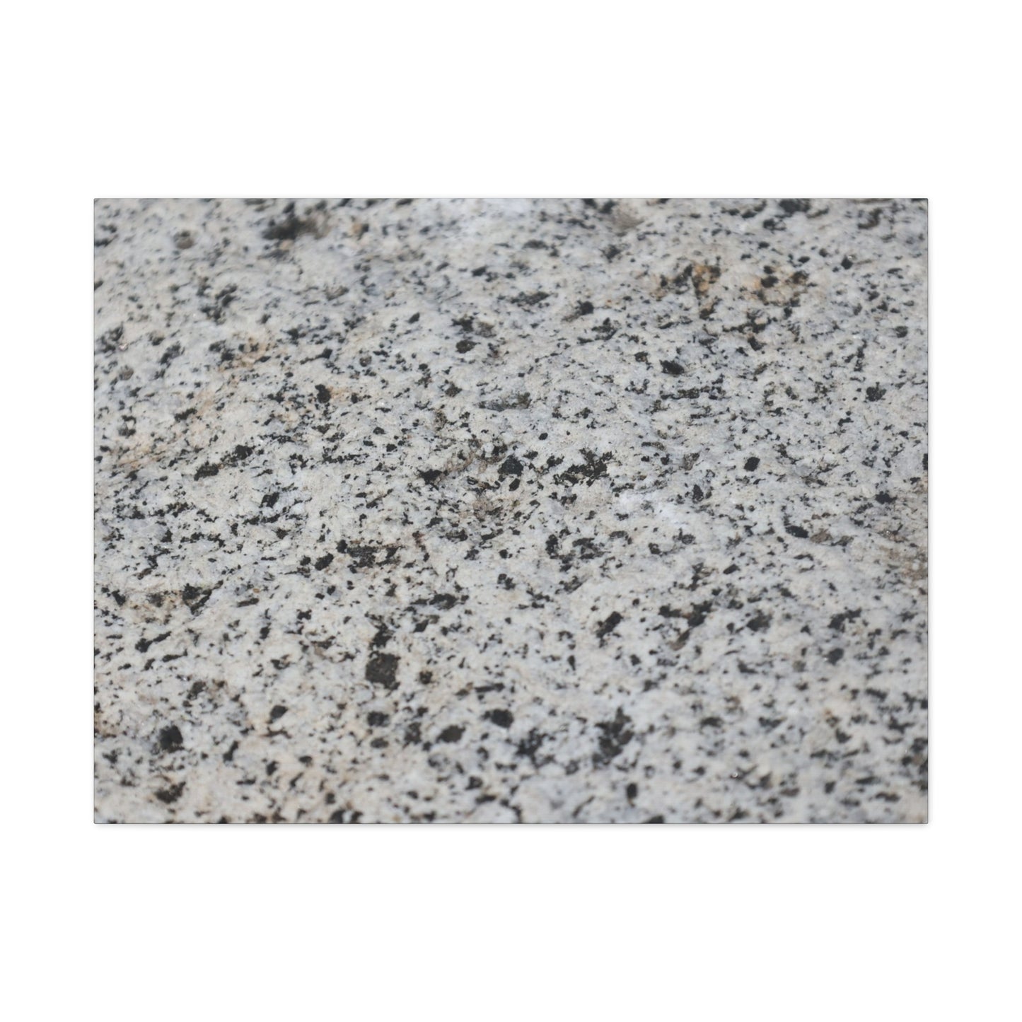 Speckled Silence - Unique Frameless Canvas Wall Art - Art By Earth