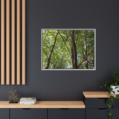Forest Branches - Unique Stretched Canvas Wall Art