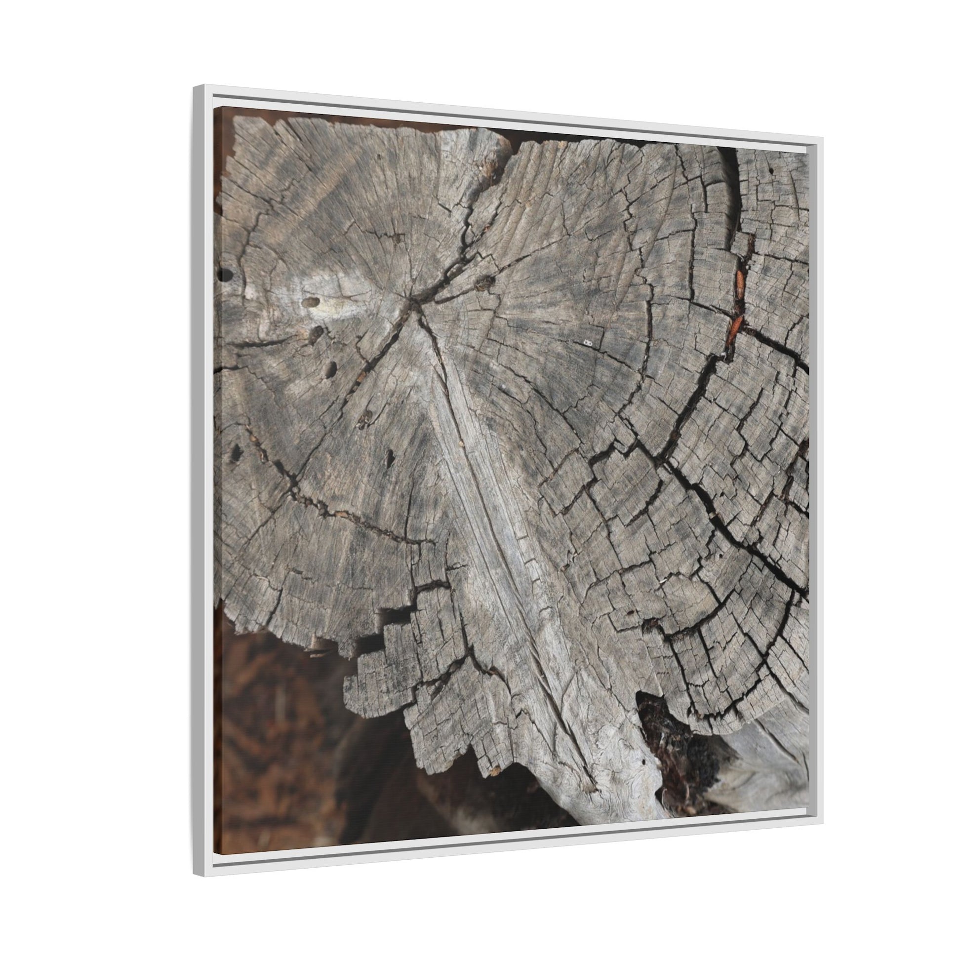 Time's Signature - Unique Stretched Canvas Wall Art - Art By Earth