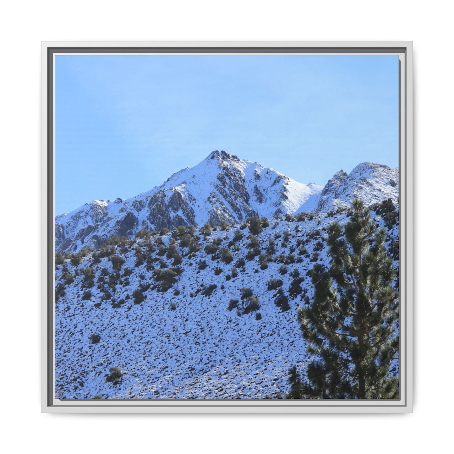 Snow's Embrace - Unique Stretched Canvas Wall Art