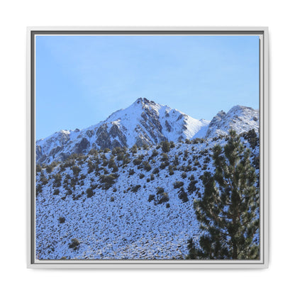 Snow's Embrace - Unique Stretched Canvas Wall Art